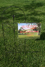 index015018.jpg